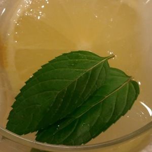 Meet your Posher, Jenna